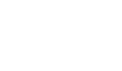 white Logo Arira